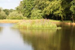 Fishing Syndicate in Hampshire